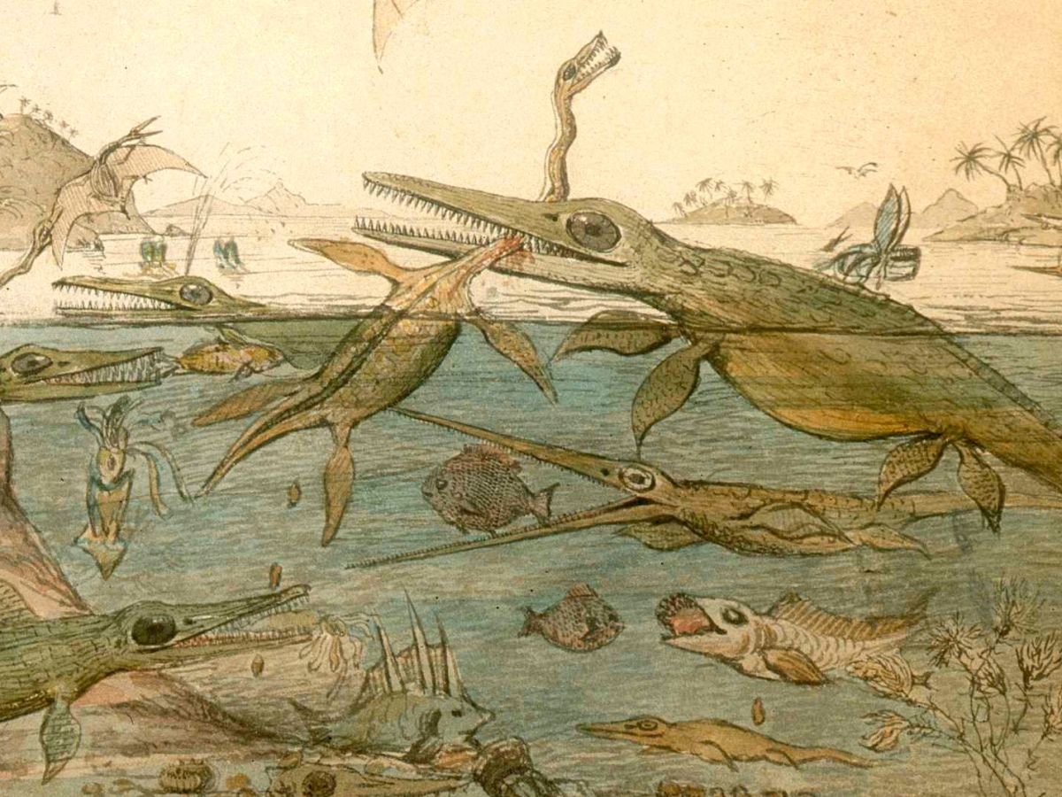 Duria-Antiquior-original-De-La Beche-detail-plesiosaurus-ichtyosaurus